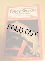 洋書（Tokay　Geckos　and　Related　Species）