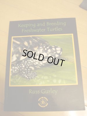画像1: 洋書（Keeping　and　Breeding　Freshwater　Turtles)やや難あり