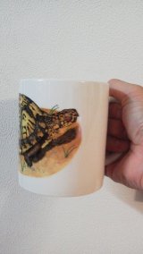 画像: ぶりくら　オリジナルマグカップ（トウブハコガメ）