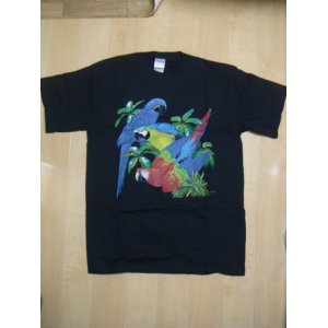 画像: リアルTシャツ（コンゴウインコ）