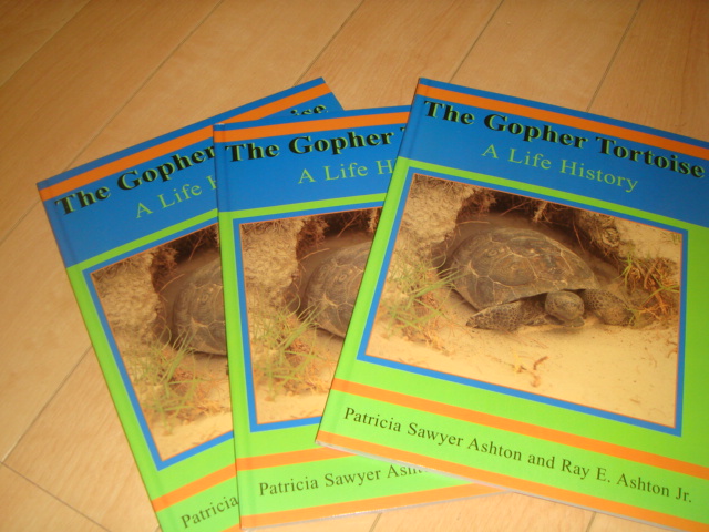 画像1: 洋書（The　Gopher　Tortoise)ソフトカバー版
