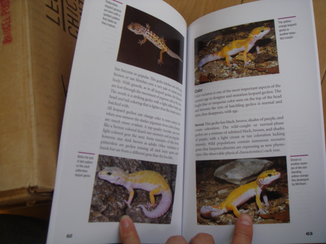 画像: 洋書(The Leopard Gecko Manual)表紙わずかに傷特価